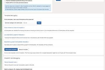 The Development page with settings, source editor, template and dispatch debugging, introspection, and function call tracing.