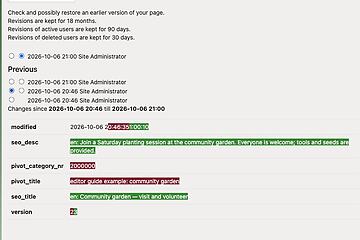 editor screenshot page revisions