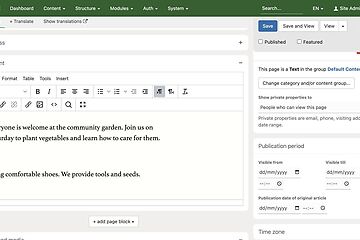 editor screenshot publication period