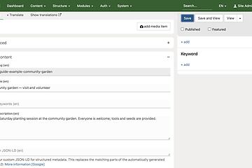 editor screenshot seo fields