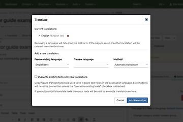 editor screenshot translate page